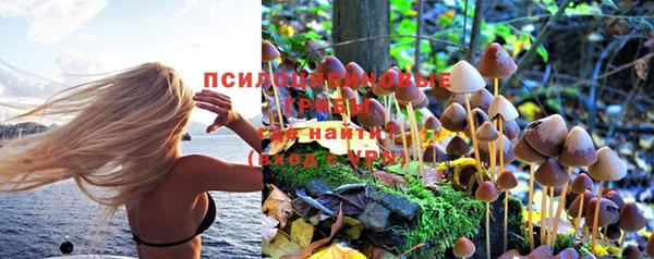 кокаин премиум Алексин