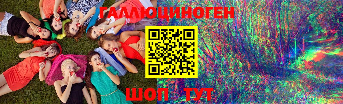 Красноярск  Псилоцибиновые грибы мухоморы  Вход с VPN 