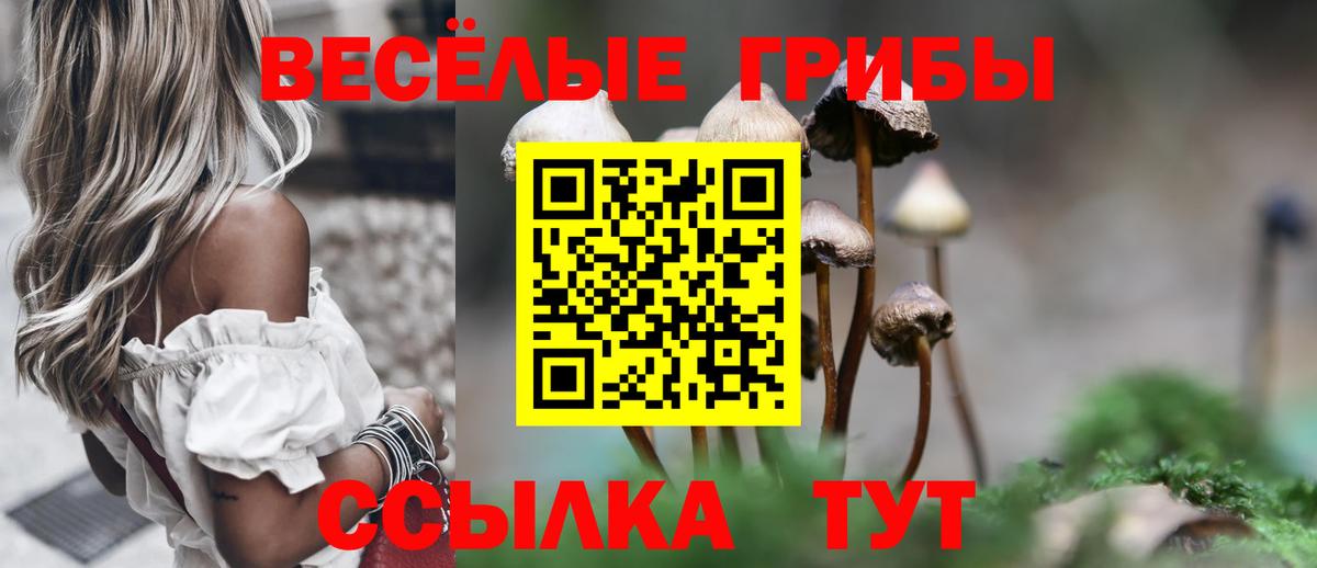 Cocaine Красноярск