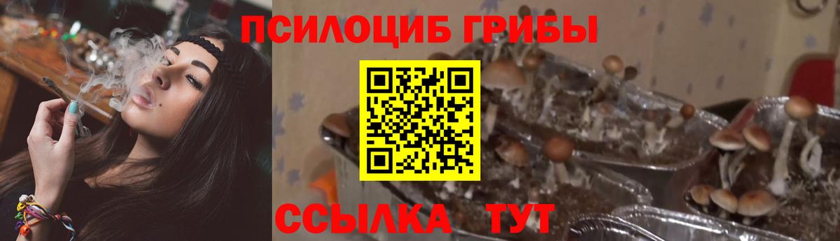 Псилоцибиновые грибы мухоморы Красноярск